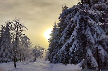 139 - Winterstimmung am Rennsteig bei Allzunah 